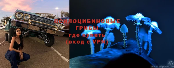 гашик Дмитровск