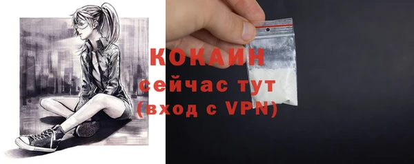 бошки Горняк