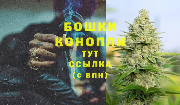 apvp Щучье