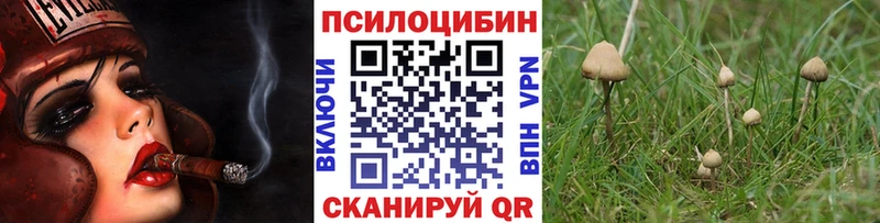 Купить где  Бузулук  Псилоцибиновые грибы Magic Shrooms 